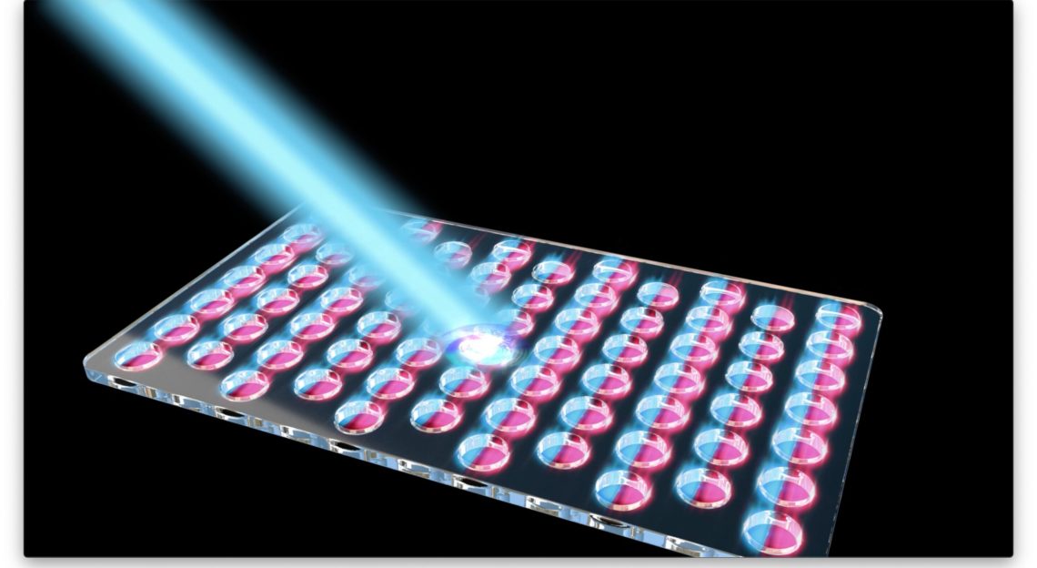 New Quantum Microscope Technion Canada