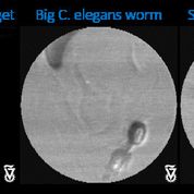 Nature Communications