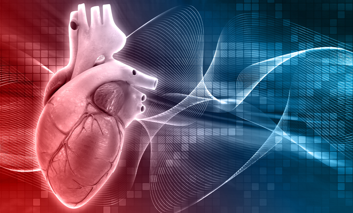 Can Heart Disease Affect Cancer?