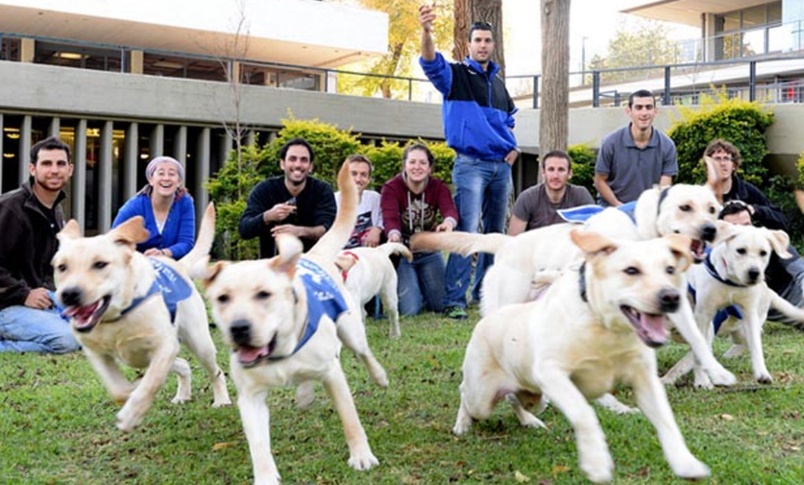At 70, Celebrating Israel’s Giving Spirit
