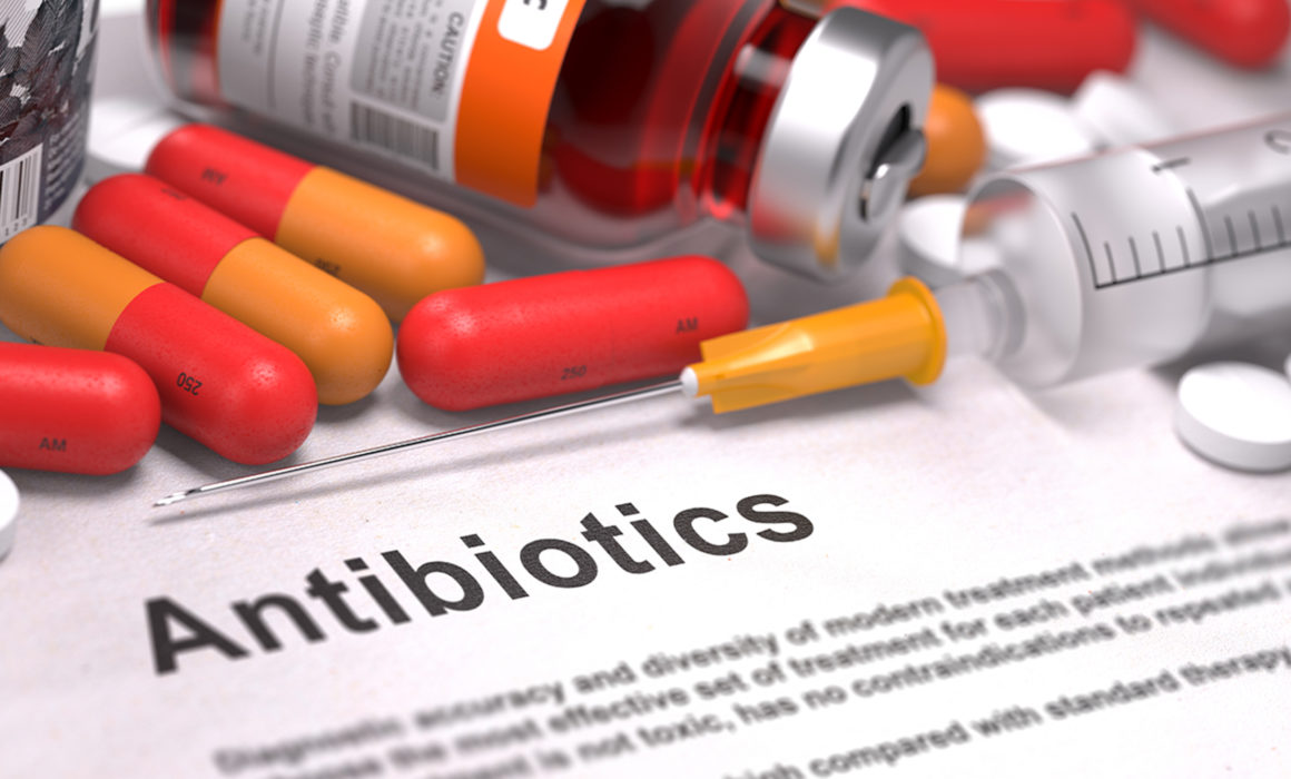 At the Forefront in Fighting Antibiotic Resistance