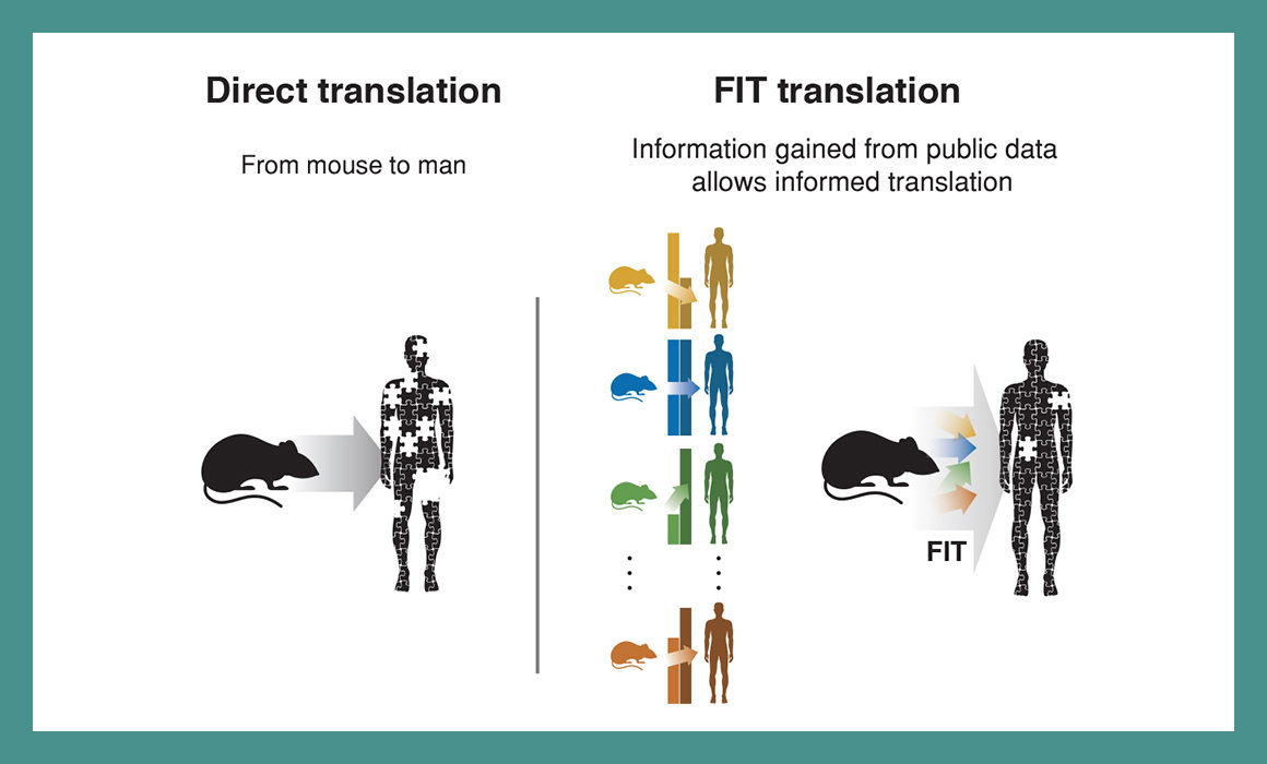 From Millions of Data Points, a New Way to Speed Up Medical Advancements