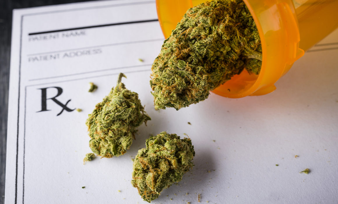 Technion Lab Out to Show That Medical Cannabis Isn’t One-Size-Fits-All