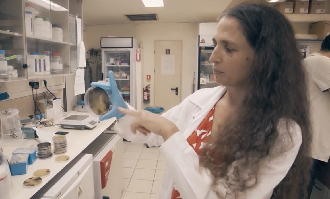 WATCH: Lab Tour With Prof. Naama Geva-Zatorsky