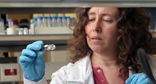 National Inventor’s Day