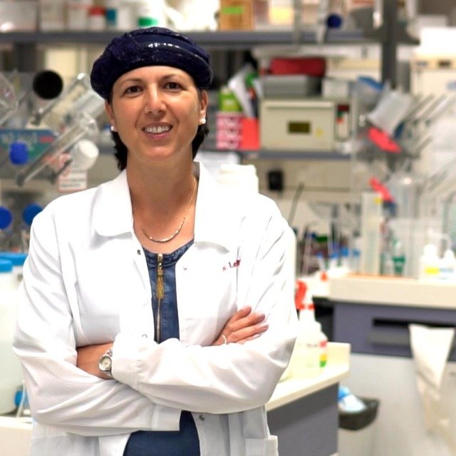 Stem Cells Help Rats with Paraplegia Walk Again