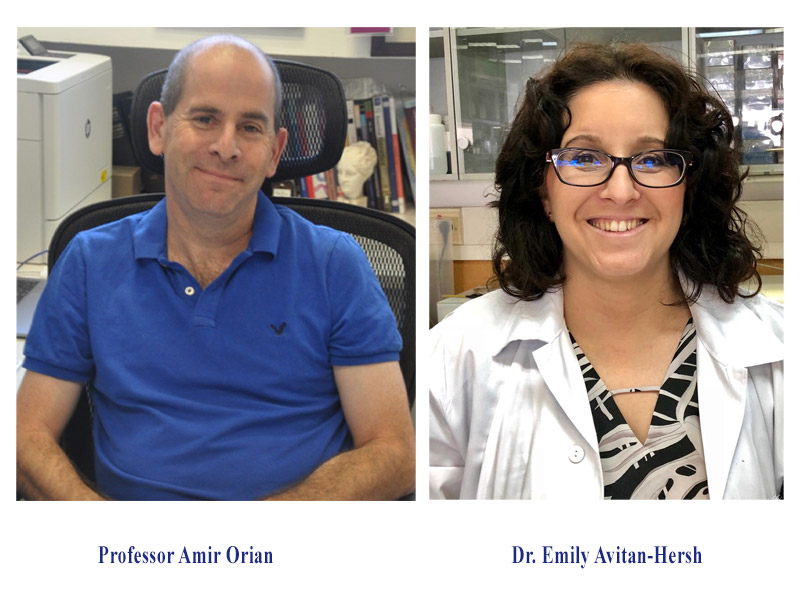 Overcoming Drug Resistant Melanoma