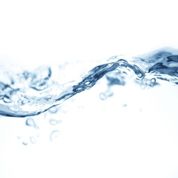 World Environment Day