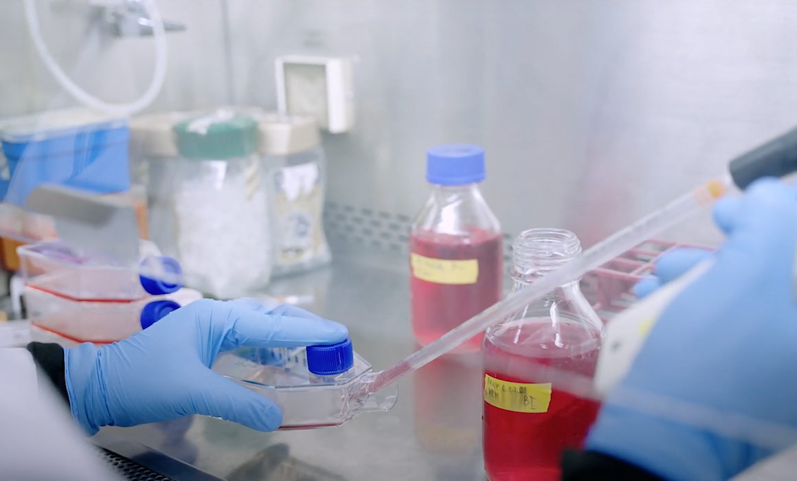 WATCH: Advanced Research in Biotechnology and Food Engineering at the Technion