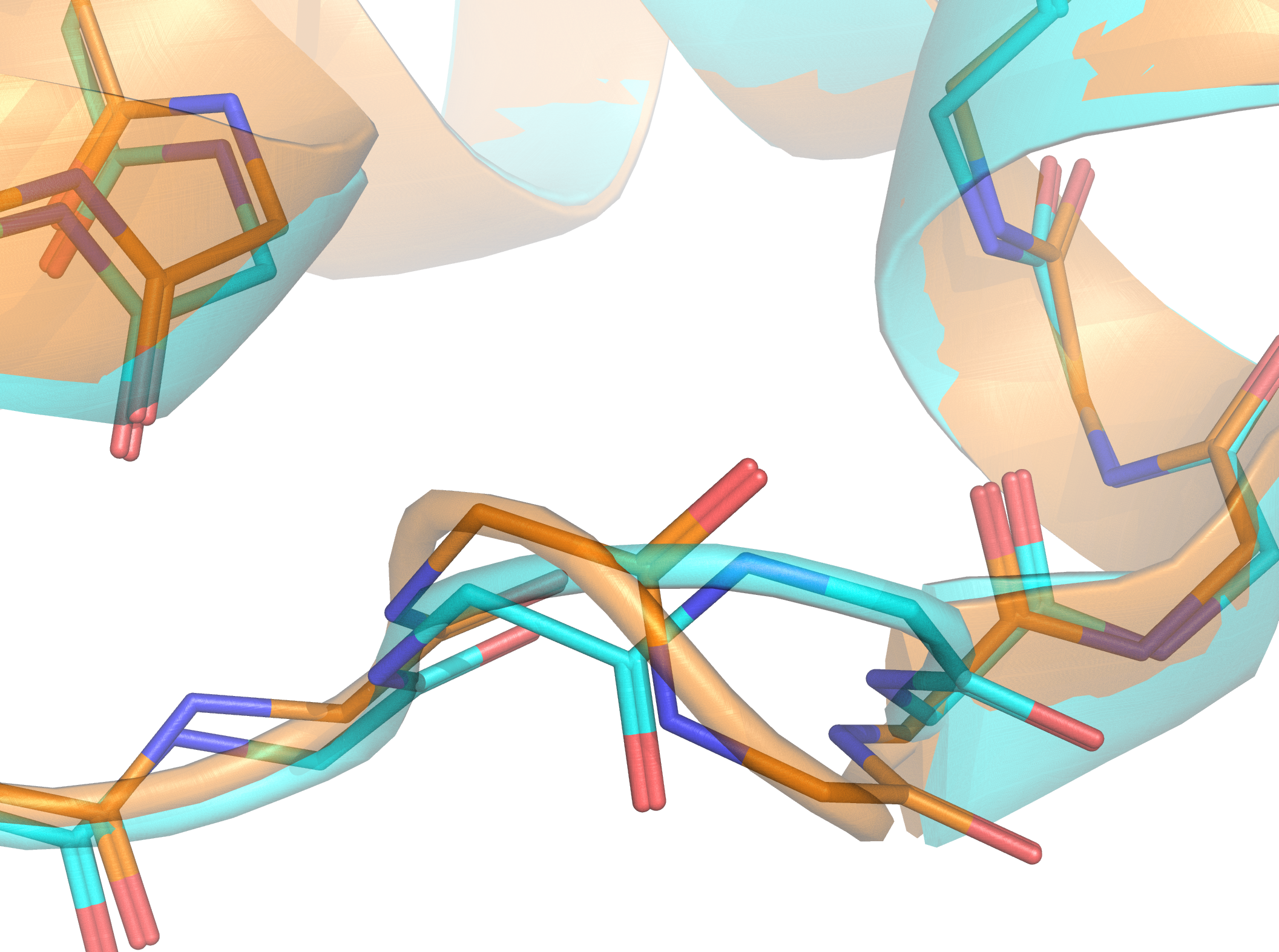 Do Proteins Remember?