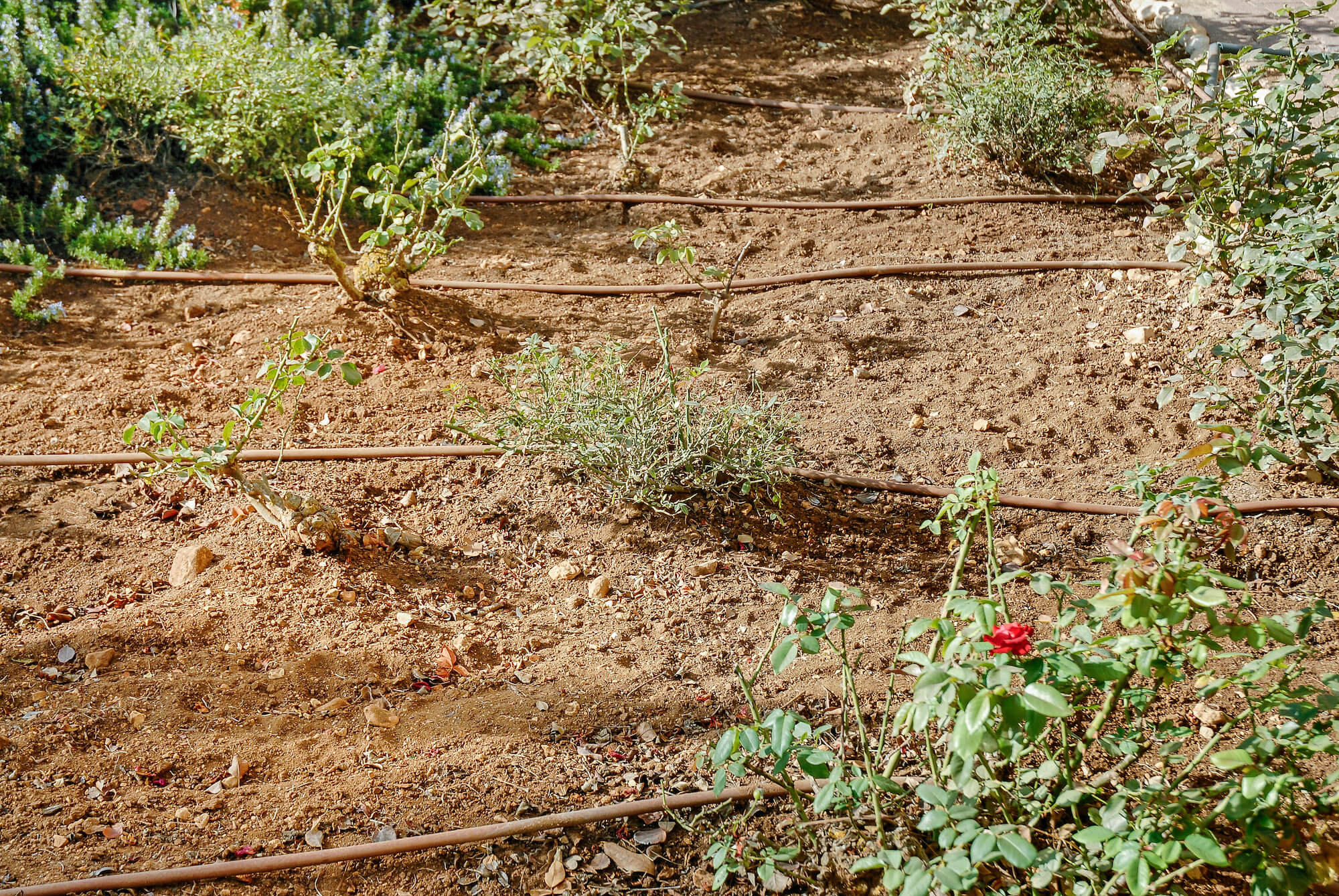 Ensuring Food Security