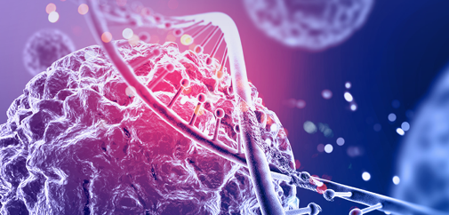 Screenshot 2025-01-22 114446