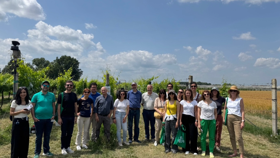 Safe Wax Instead of Pesticides