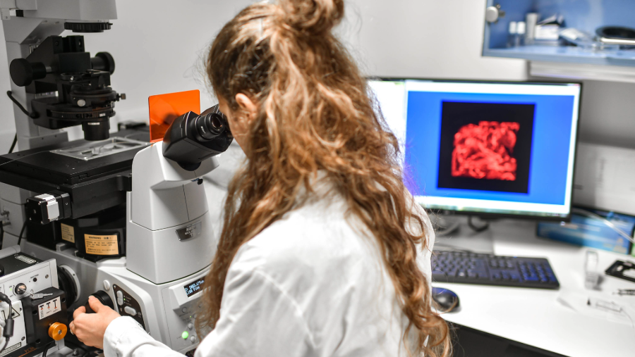 Explore how Technion women in STEM, like Hila Rubenstein and Anne Kitzmiller, overcome barriers to success. Discover their stories of resilience, mentorship, and the 'sticky floor' phenomenon in science and engineering.