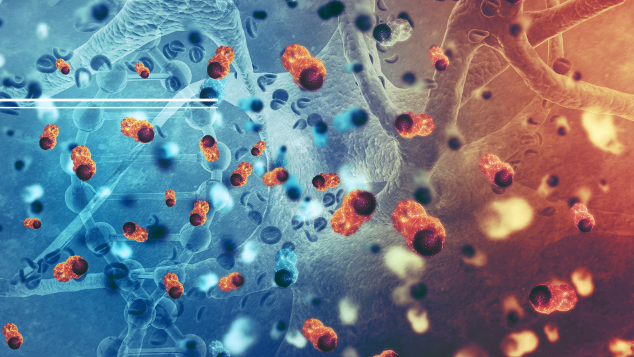 A New Approach in Cancer Medicine: Development of a Novel “Degraders” for the Selective Elimination of Cancer Cells