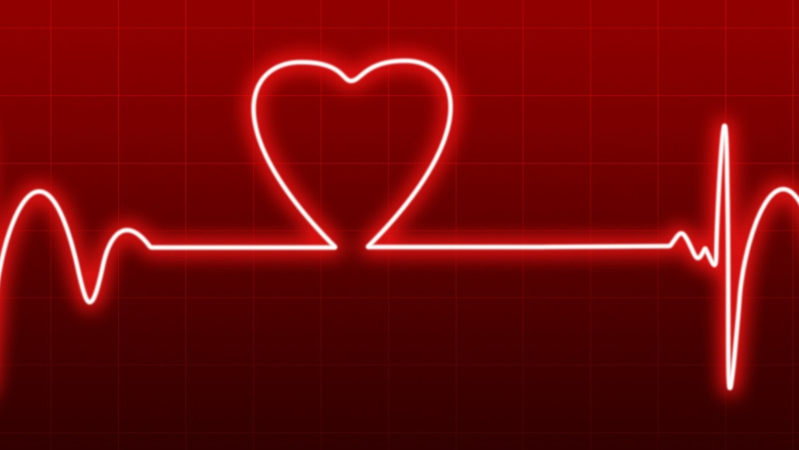 A new AI model developed at the Technion analyzes routine heart monitoring data to flag high-risk patients years before heart failure develops — opening the door to earlier, potentially life-saving intervention.